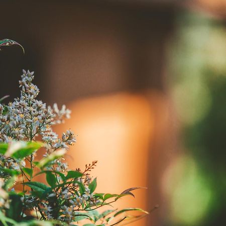 Quinta Do Lameiro Tarouca Zewnętrze zdjęcie