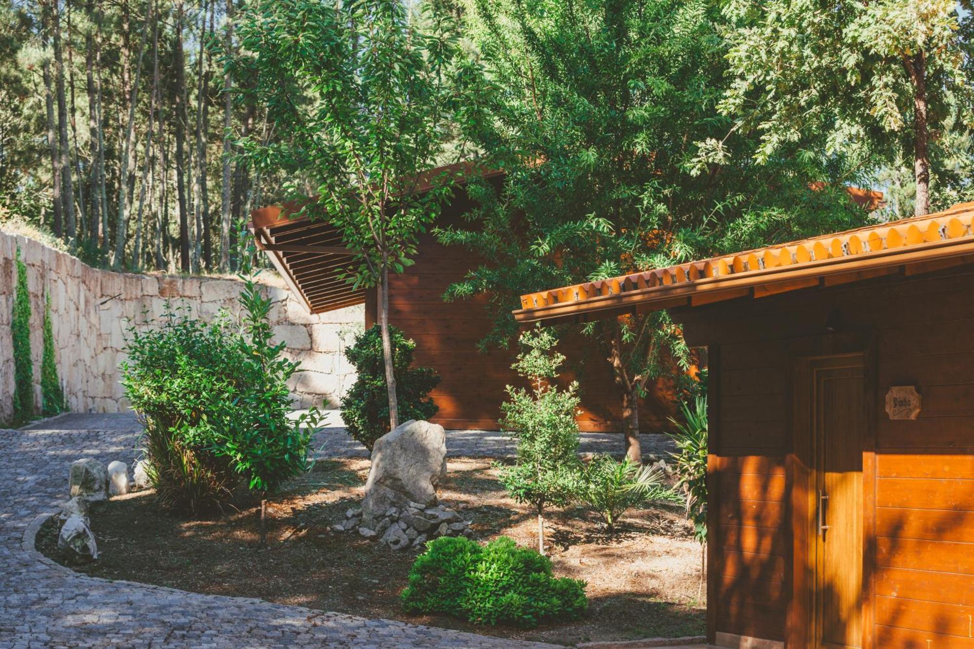 Quinta Do Lameiro Tarouca Zewnętrze zdjęcie