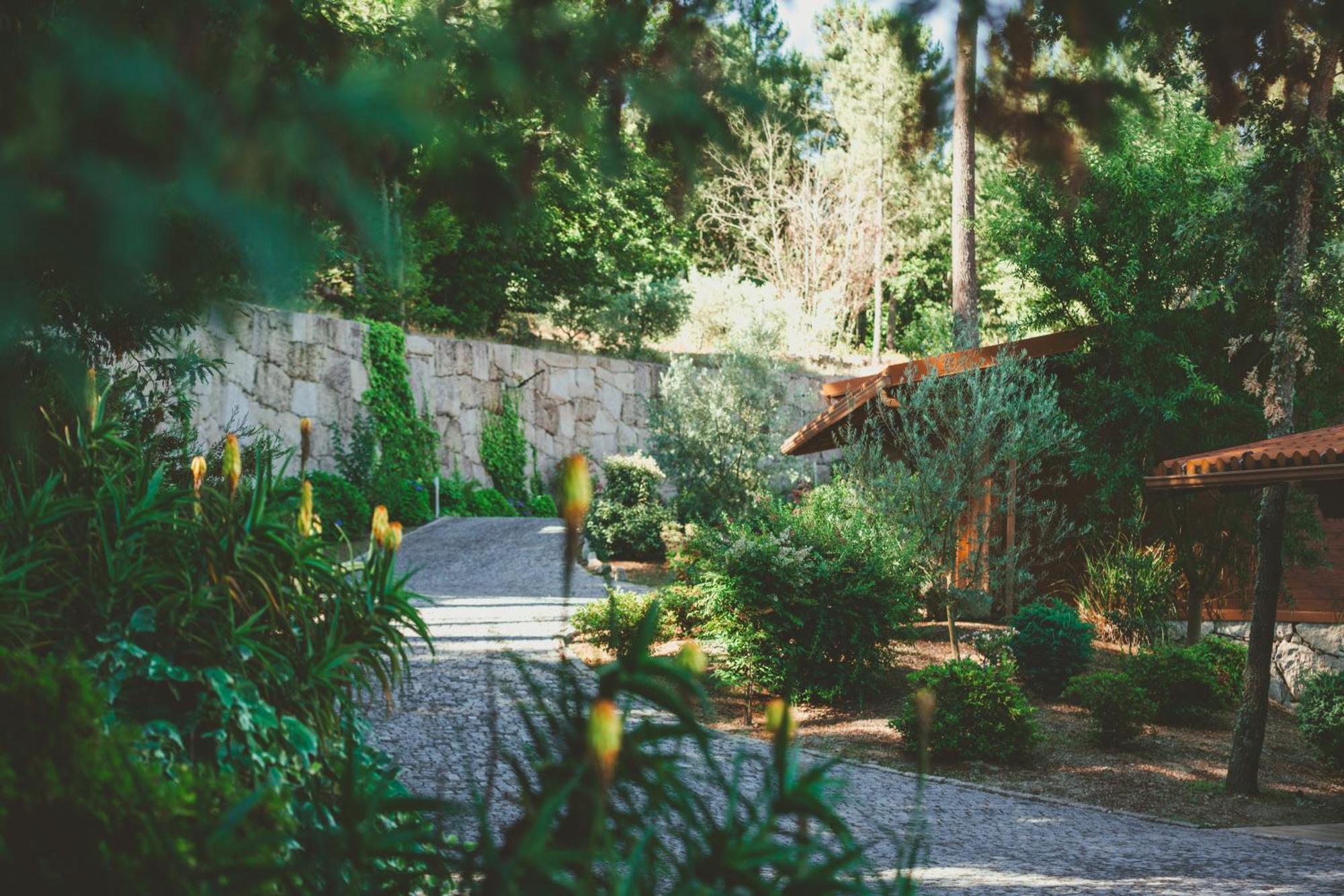 Quinta Do Lameiro Tarouca Zewnętrze zdjęcie